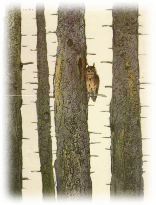 Picture 1
