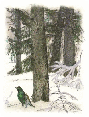 Picture 19