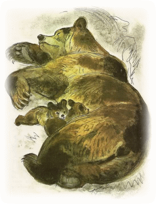 Picture 23