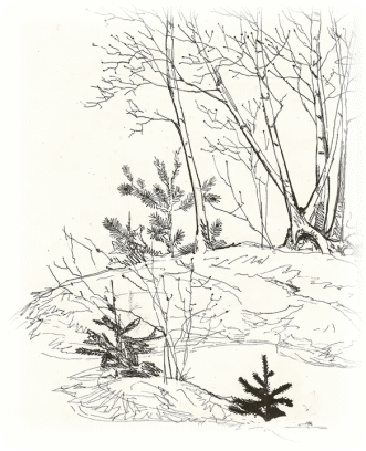 Picture 30