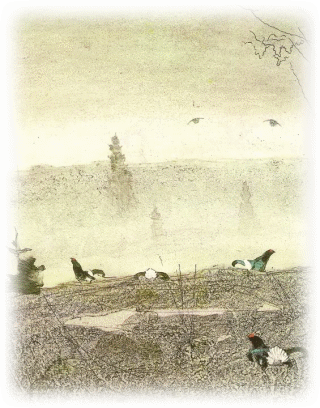 Picture 32