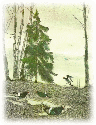 Picture 33