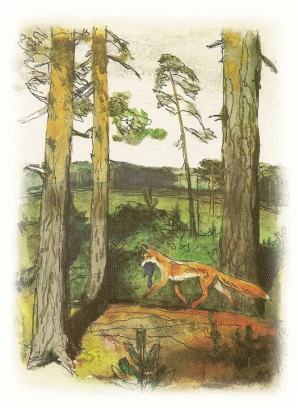 Picture 84