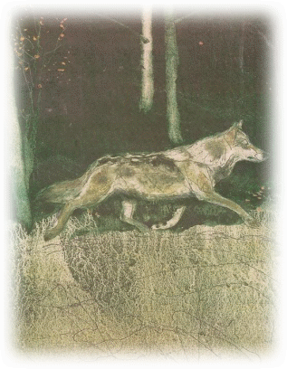 Picture 96