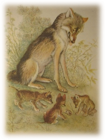 Picture 7