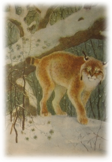 Picture 21