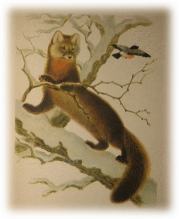 Picture 22