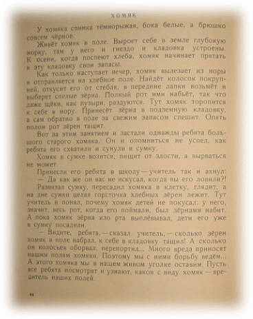 Picture 26