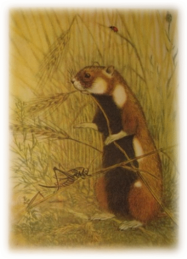 Picture 26