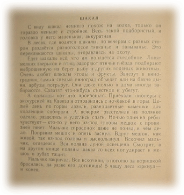Picture 29