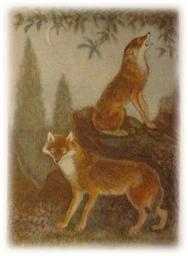 Picture 29