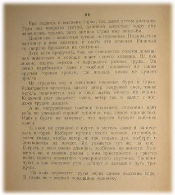 Picture 33