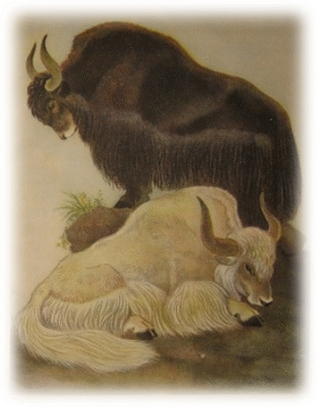 Picture 33