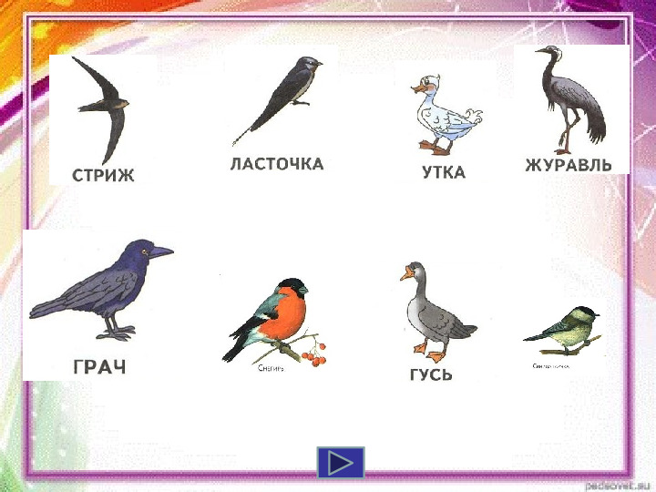 Презентация дидактической игры на тему Времена года