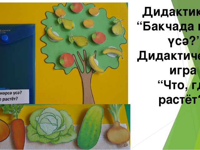 Презентация "Овощи и фрукты"