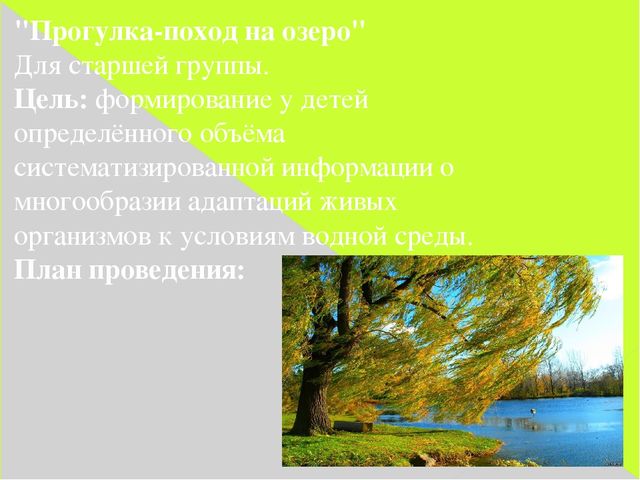 Презентация "Мини-походы в детском саду"