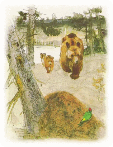 Picture 110