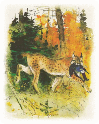 Picture 112