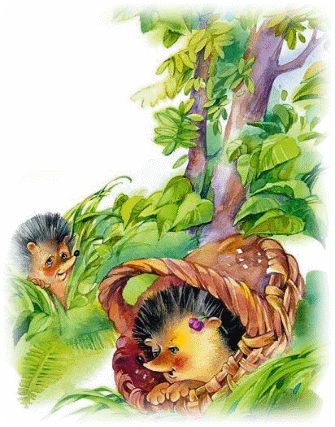 Picture 5