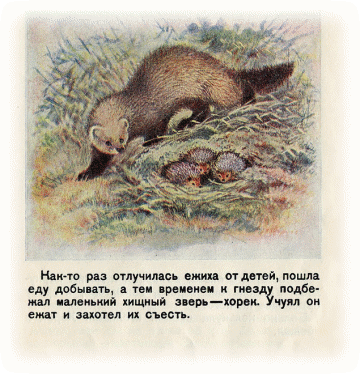 Picture 19
