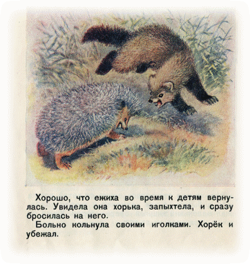 Picture 20