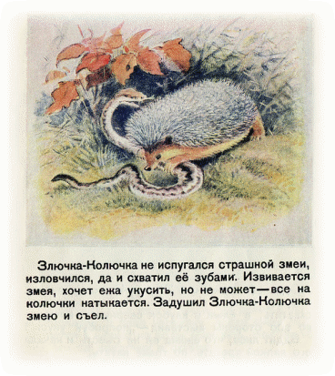 Picture 23