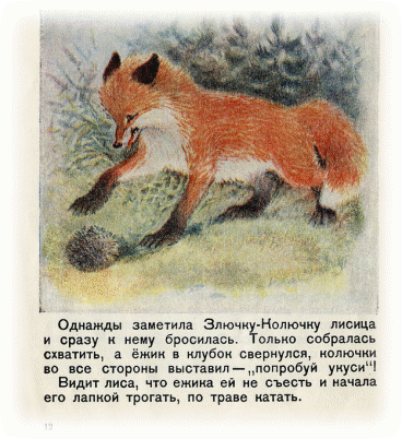 Picture 24