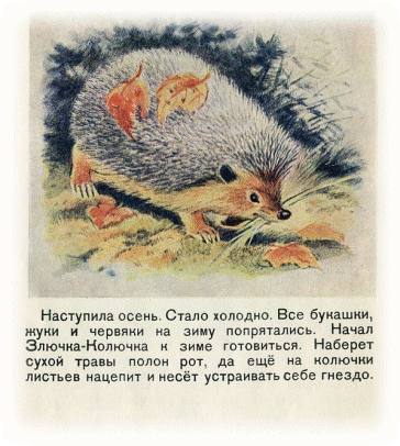 Picture 26