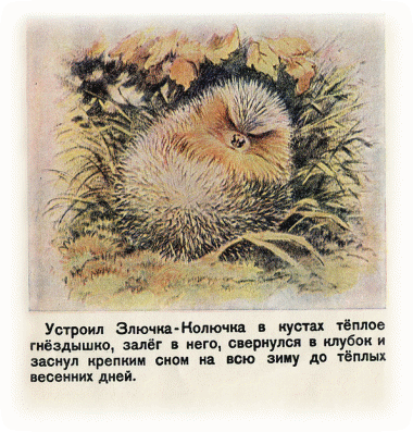 Picture 27