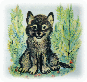 Picture 7