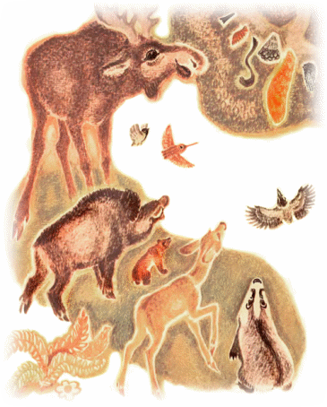 Picture 62