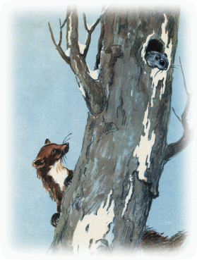 Picture 10