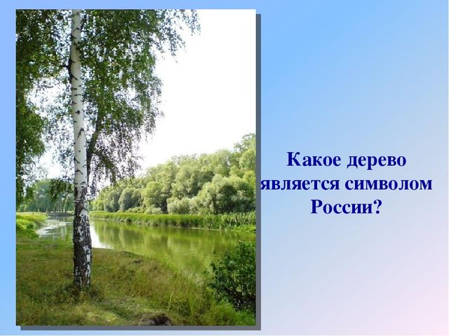 Презентация "Россия - наша Родина"