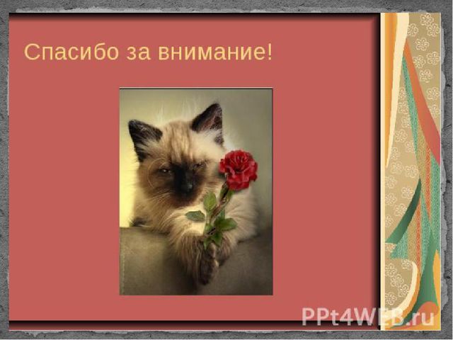 Презентация "Документация старшего воспитателя"