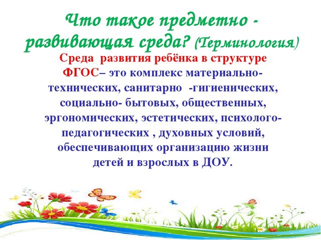 Презентация " Развивающая среда в системе реализации ФГОС"