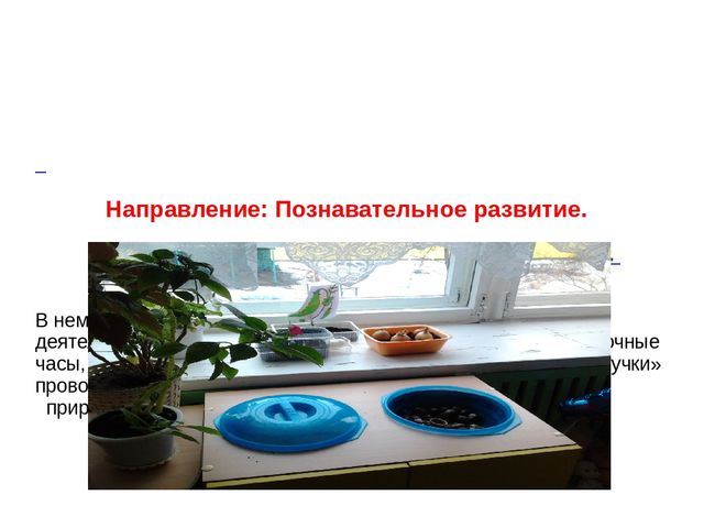 Презентация " Развивающая среда в системе реализации ФГОС"