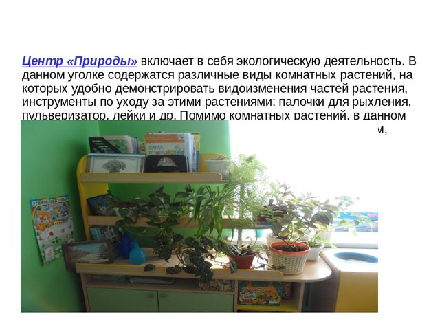 Презентация " Развивающая среда в системе реализации ФГОС"