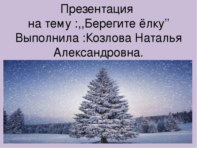 Презентация для детского сада,,Берегите ёлку.''