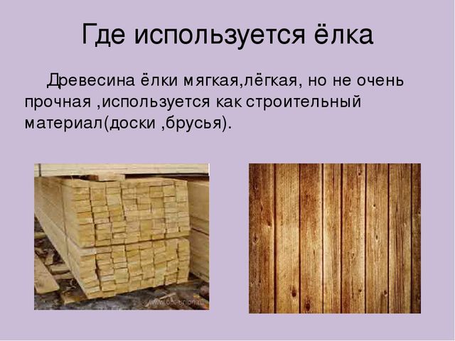 Презентация для детского сада,,Берегите ёлку.''