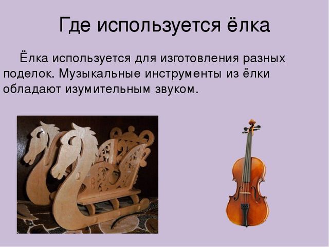Презентация для детского сада,,Берегите ёлку.''