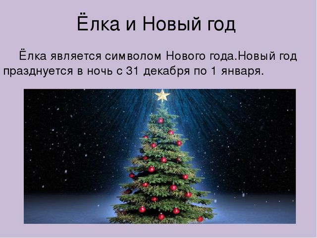 Ель символ чего. Ель символ нового года. Символом нового года является ёлка.. Ёлочка символизирует новый год. Что символизирует Новогодняя ёлка.