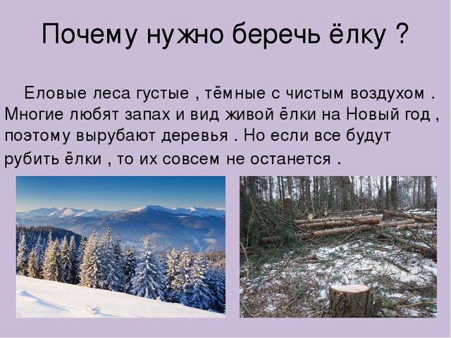 Презентация для детского сада,,Берегите ёлку.''