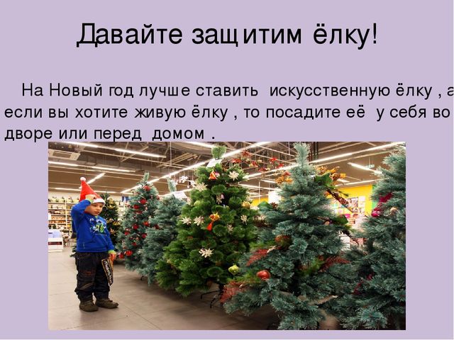 Презентация для детского сада,,Берегите ёлку.''