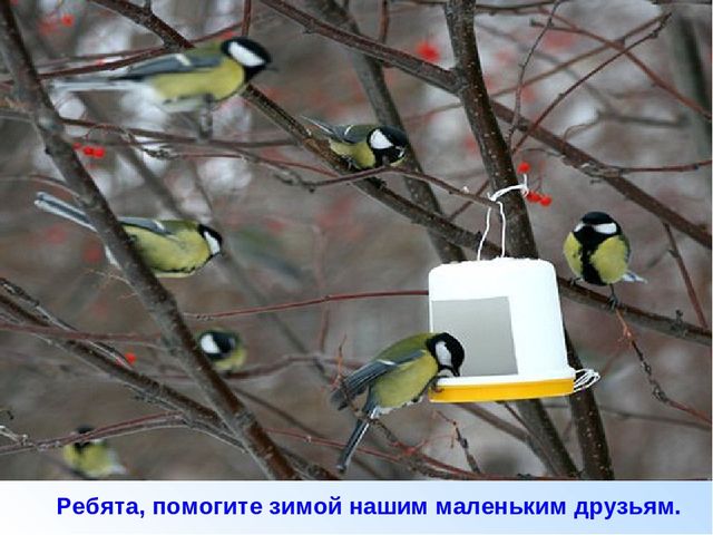 Презентация зима для дошкольников