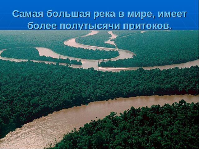 Презентация на тему "Путешествие по материкам"
