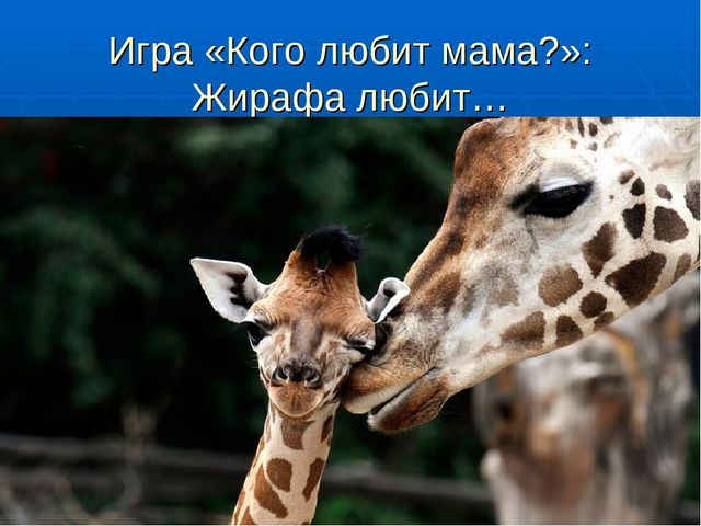 Презентация на тему "Путешествие по материкам"