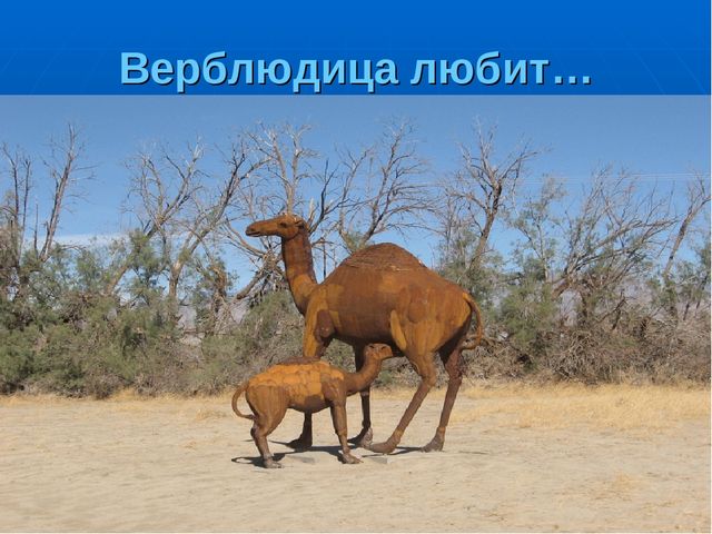 Презентация на тему "Путешествие по материкам"