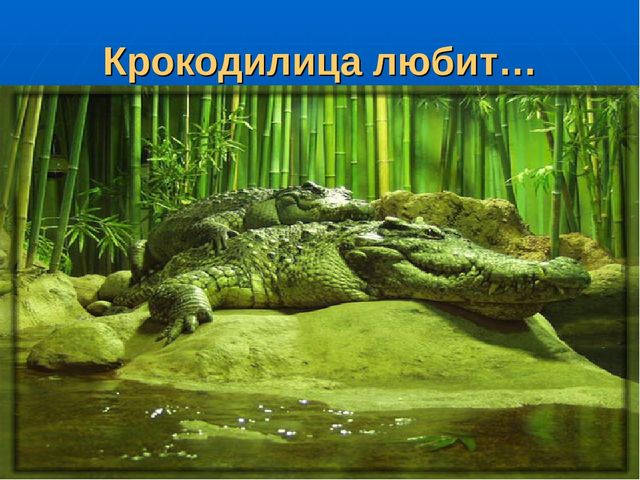 Презентация на тему "Путешествие по материкам"