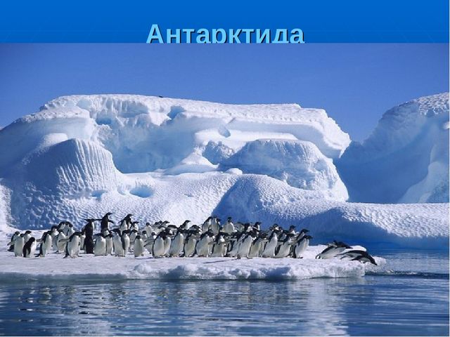 Презентация на тему "Путешествие по материкам"