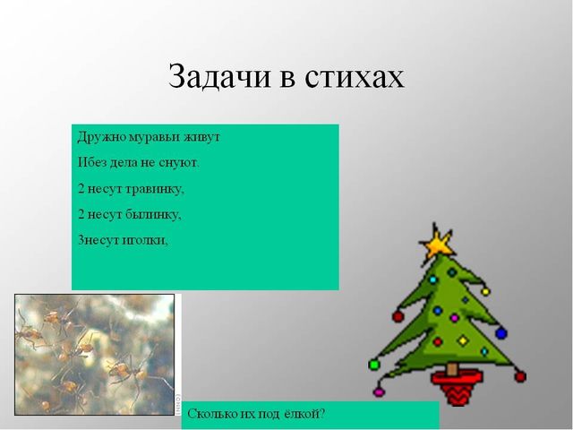 Презентация на тему "Путешествие по материкам"